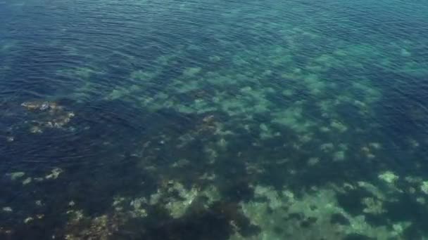 Klares Blaues Meerwasser Durch Das Der Mit Algen Bedeckte Boden — Stockvideo