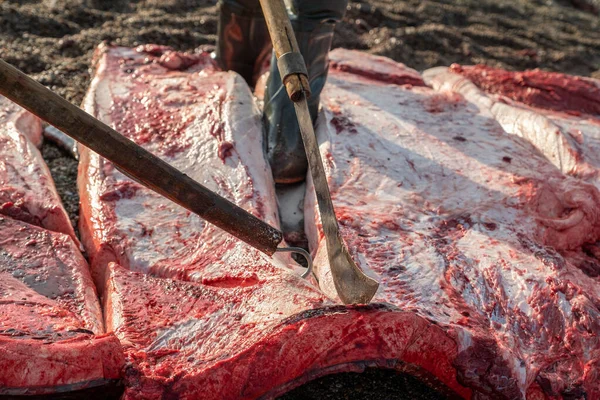 Κυνηγοί Κόβουν Κουφάρι Της Φάλαινας Κομμάτια — Φωτογραφία Αρχείου