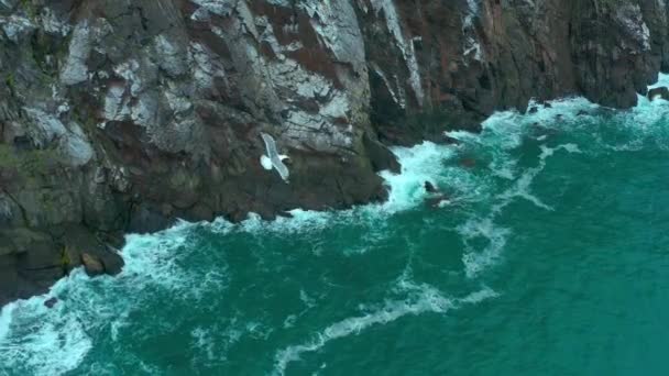 Вид Зверху Прибережну Скелю Штормове Море — стокове відео