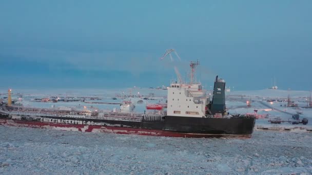 Sabetta Obwód Tyumenski Rosja Stycznia 2021 Statki Morskie Zacumowały Rozładowują — Wideo stockowe