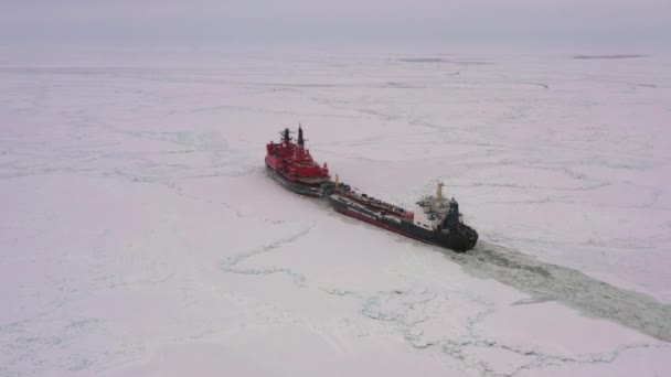 ロシア ティメン州サベッタ 2021年4月7日 ヤマル砕氷船は チョコトカ タンカーを氷の上にドラッグします — ストック動画