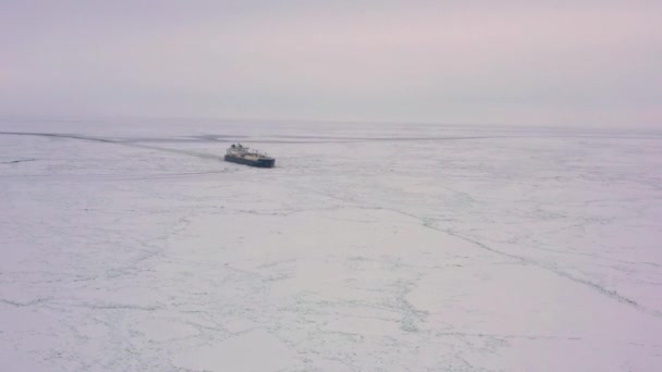 Sabetta Yamal Nenets Autonóm Terület Oroszország 2021 Április Vladimir Rusanov — Stock videók