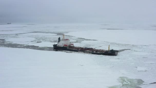 Archangelsk Rusland Maart 2021 Zeeschepen Trekken Ijs — Stockvideo