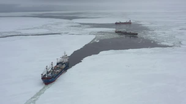 러시아의 2021 쇄빙선 빙산으로 쇄빙선 드비나와 백해하구에 얼음을 작업을 하였다 — 비디오