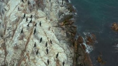 Üzerinde kuşlar olan taşların ve kayaların üzerinden uç..