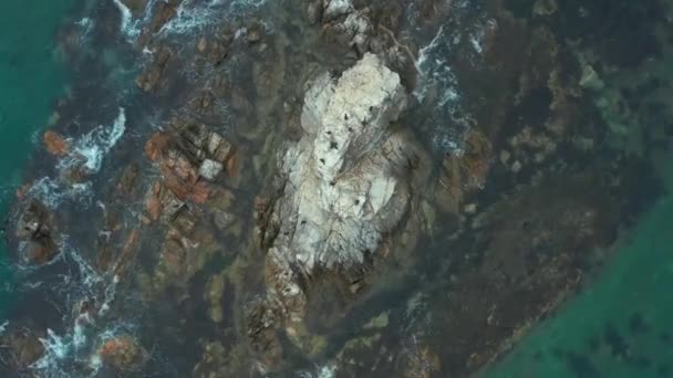 Βραχώδη Νησιά Της Θάλασσας Κορυφαία Θέα Θαλάσσια Πουλιά Κάθονται Αυτό — Αρχείο Βίντεο