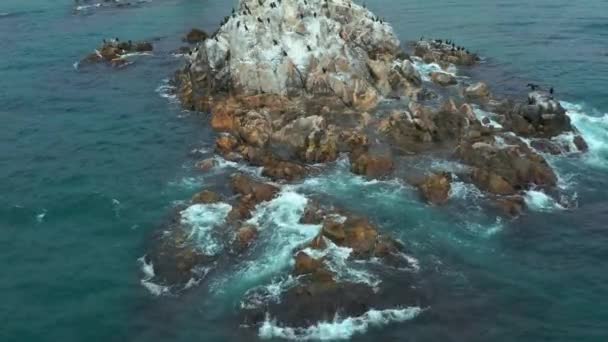 Ilhas Marinhas Rochosas Com Pássaros Mar Sentados Nele — Vídeo de Stock