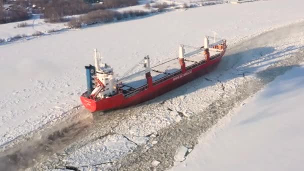 Archangelsk Russland Februar 2021 Der Massengutfrachter Geht Auf Schweres Eis — Stockvideo