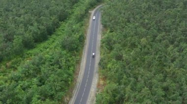 Ormanlar ve tarlalar arasında arabalar yol boyunca ilerliyor.