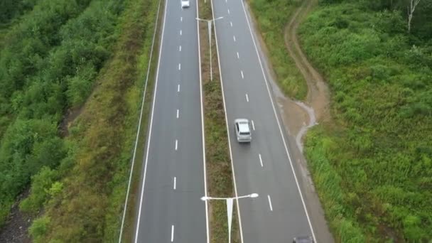 Coches Mueven Largo Carretera Entre Bosques Campos — Vídeo de stock