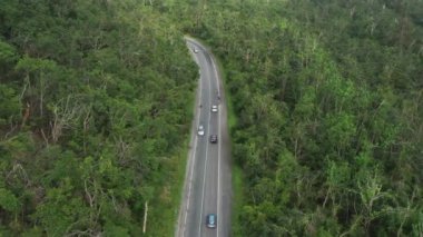 Ormanlar ve tarlalar arasında arabalar yol boyunca ilerliyor.