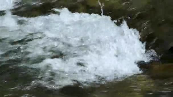 Proud Vody Pěnou Skalnatým Dnem Horské Řeky — Stock video