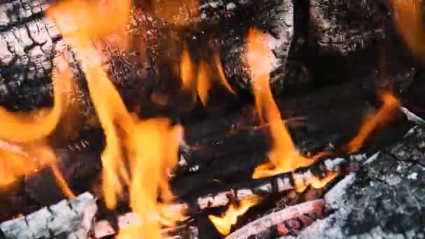 Una Hoguera Arde Por Noche Leña Está Ardiendo — Vídeos de Stock
