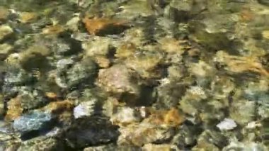 Nehrin taşlı tabanının görünür olduğu su akıntısı..