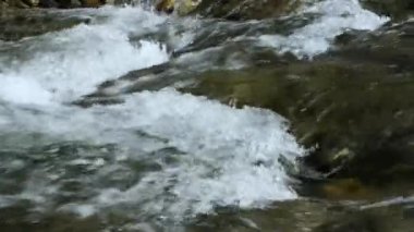 Köpüklü bir su deresi ve bir dağ nehrinin kayalık dibi..