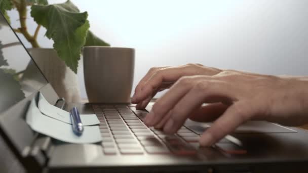 Handen Werken Het Laptop Toetsenbord Het Meisje Werkt Met Een — Stockvideo