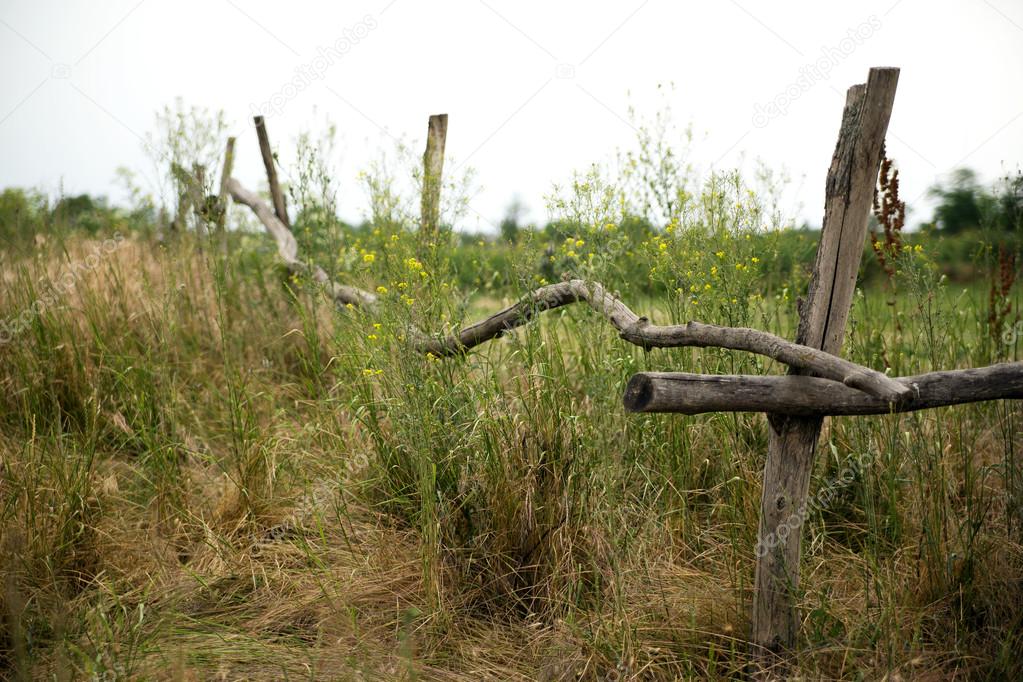 Fence on a heathland