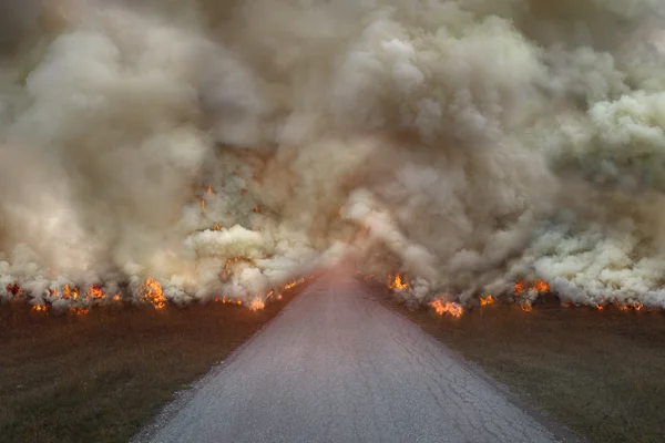 大火在道路上的自然灾害 — 图库照片