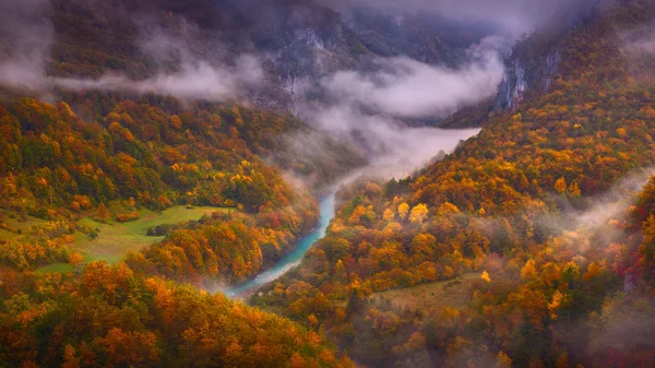 Garganta del río Misty Tara a finales de otoño —  Fotos de Stock