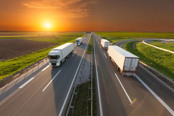 Quatre camions blancs sur l'autoroute au coucher du soleil idyllique — Photo