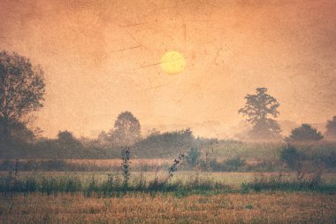 Countryside at dawn - Vintage image
