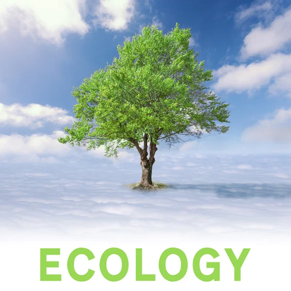 Экологическая концепция - Одно дерево над облаками — стоковое фото