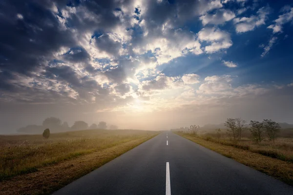 Strada asfaltata vuota al mattino nebbioso — Foto Stock