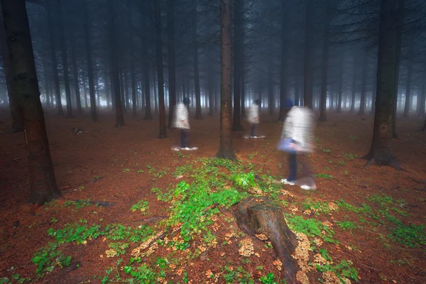 Misma figura femenina caminando en el bosque — Foto de Stock