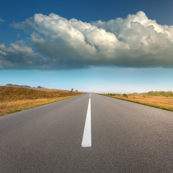 Empty road and idyllic fields at sunny day