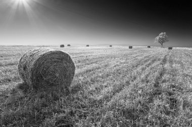  Haystacks saman sahada hasat sonrası dağılmış.