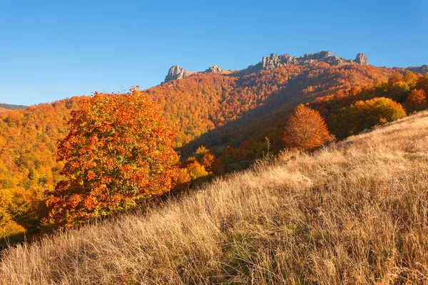 田园风光的环境秋季山风景 — 图库照片