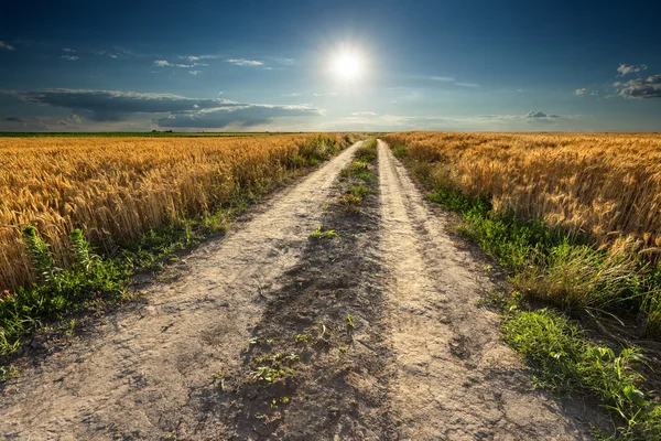 Driving on an empty country road at sunset — Stock Photo, Image