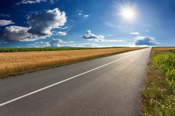 Driving on an empty asphalt road at sunny day Royalty Free Stock Photos