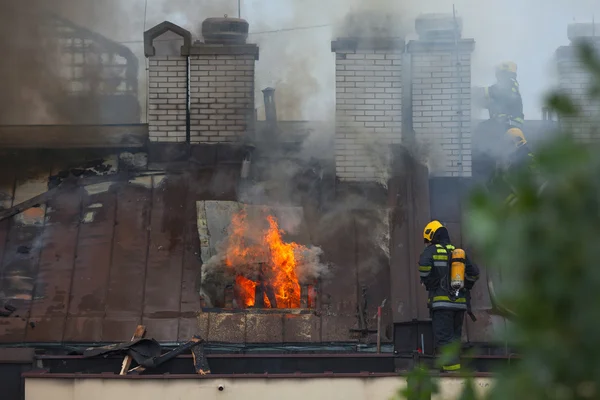 Bomberos trabajando en la extinción del fuego real — Foto de Stock