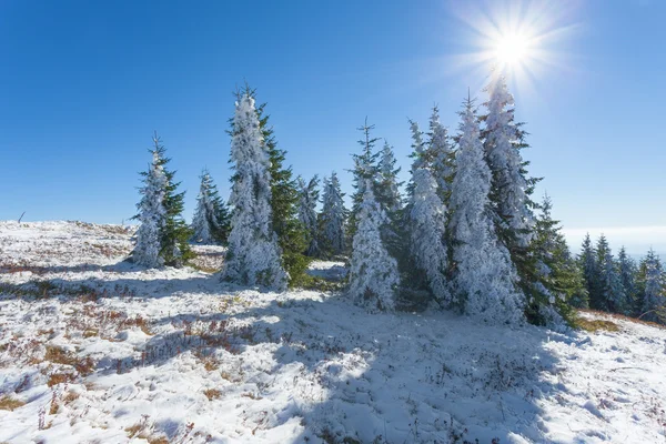 Primera nieve en la montaña contra la luz del sol — Foto de Stock