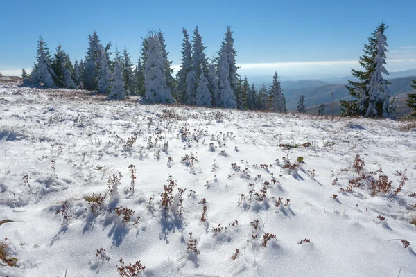 First snow in mountain area at sunny day — Stock Photo, Image