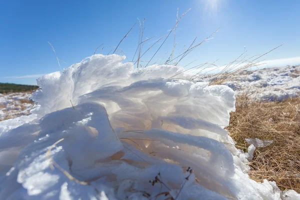 Frozen snow wrapped around the grass in the mountain — Stock Photo, Image