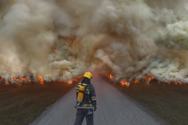 消防队员试图防止自然灾害的传播 — 图库照片