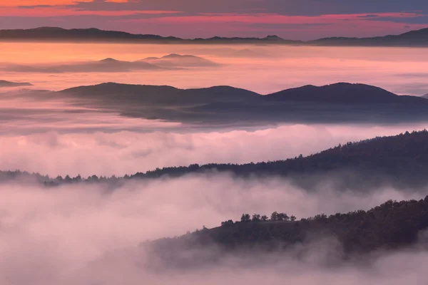Dağ sisli ortam sabah sahne — Stok fotoğraf