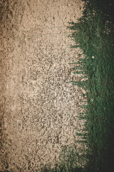 Oude muur met groene kleur — Stockfoto