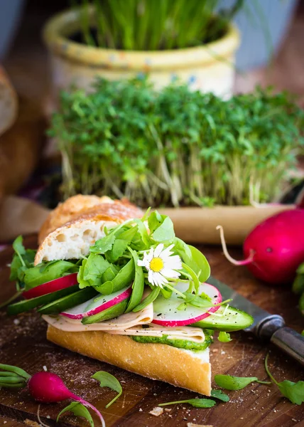 Baguette with green pesto, thin slices of vegan sausage and vegetables — Stock Photo, Image