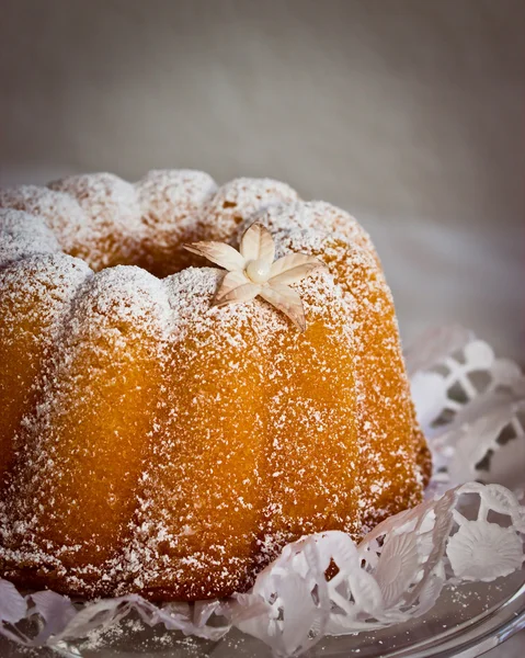 Guglhupf-Kuchen — Stockfoto