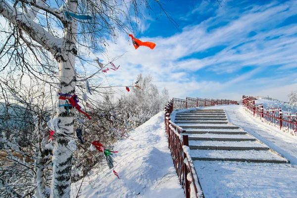 Winter birch tree and staircase — Stock Photo, Image