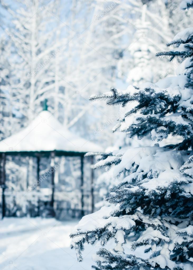 Siberian winter