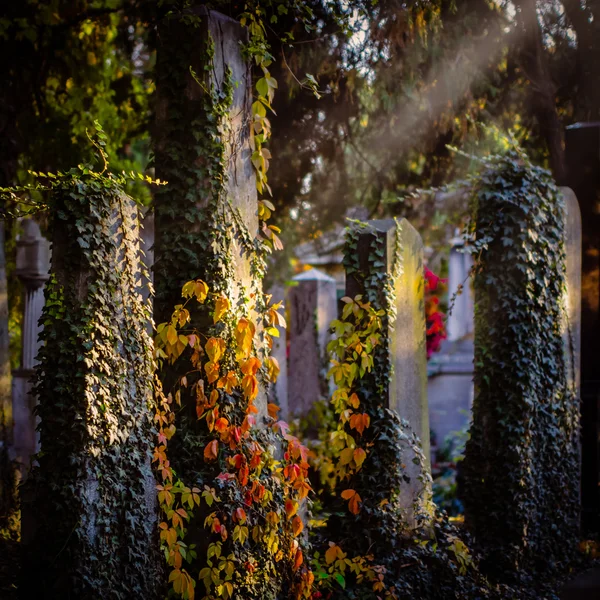 Cemitério Central Zentralfriedhof — Fotografia de Stock