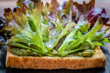 Vejetaryen sandviç yeşil pesto ile