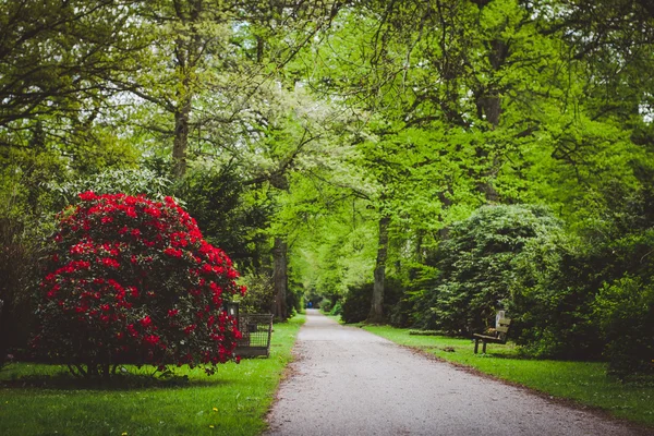 Ohlsdorf begraafplaats in Duitsland — Stockfoto