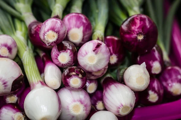 Fresh colorful onions — Stock Photo, Image