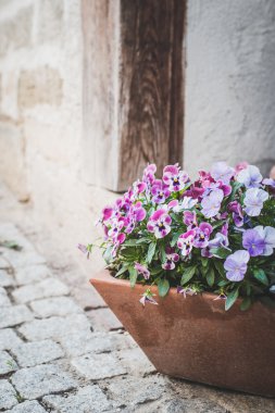 Tencerede küçük hanım evlatları