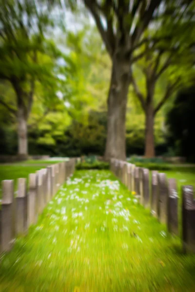 Blurred cemetery with war graves — Stock Photo, Image